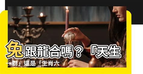 龍與兔|【龍和兔合嗎】龍和兔犯沖嗎？生肖兔和龍合不合？